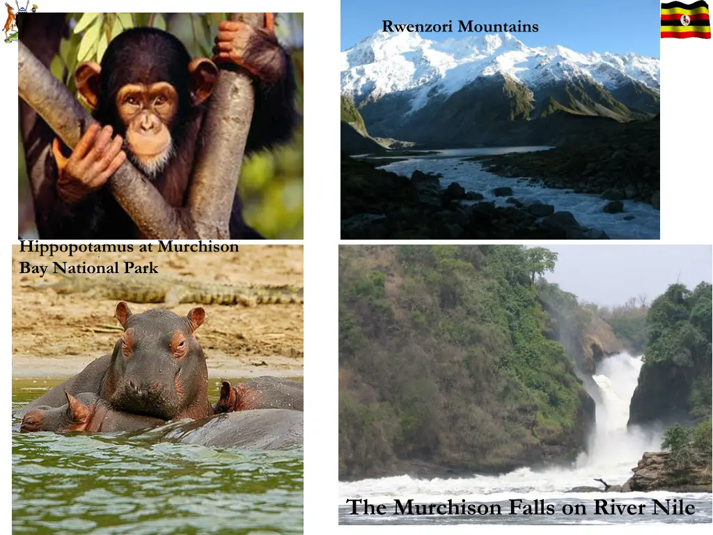 rwenzori mountains