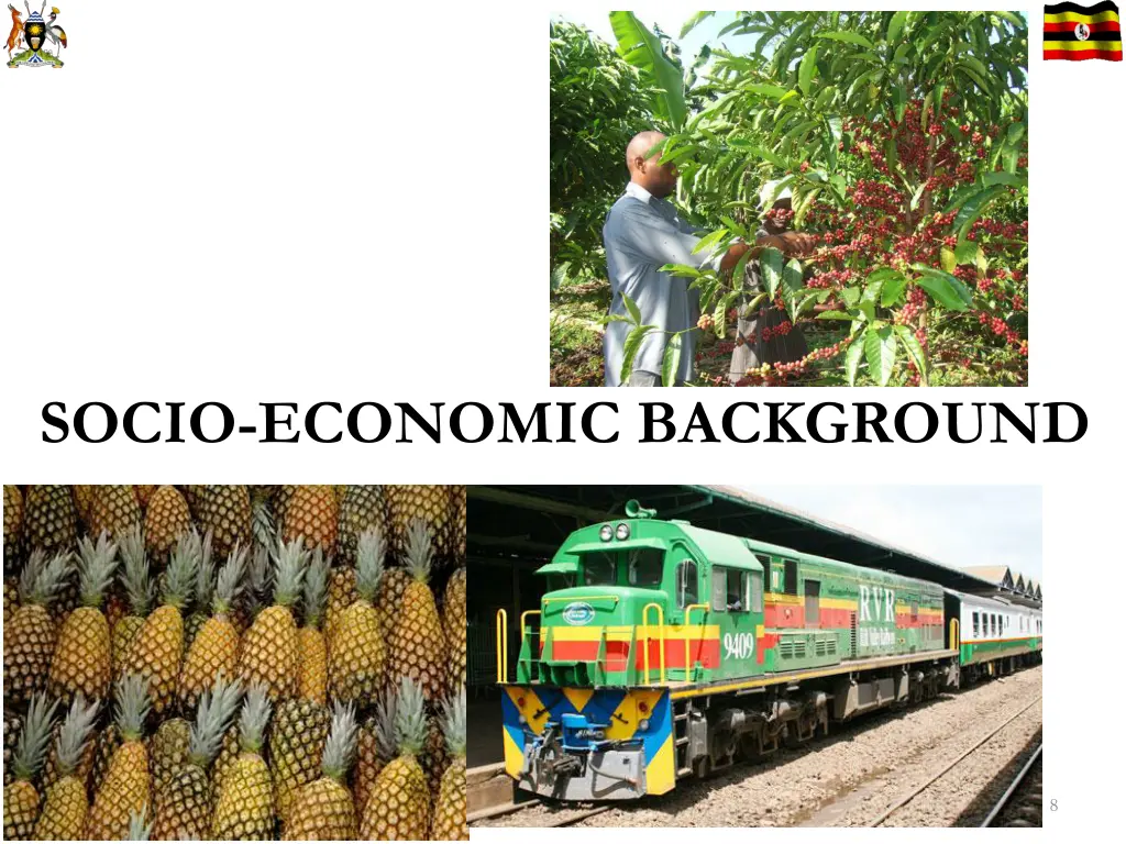 socio economic background