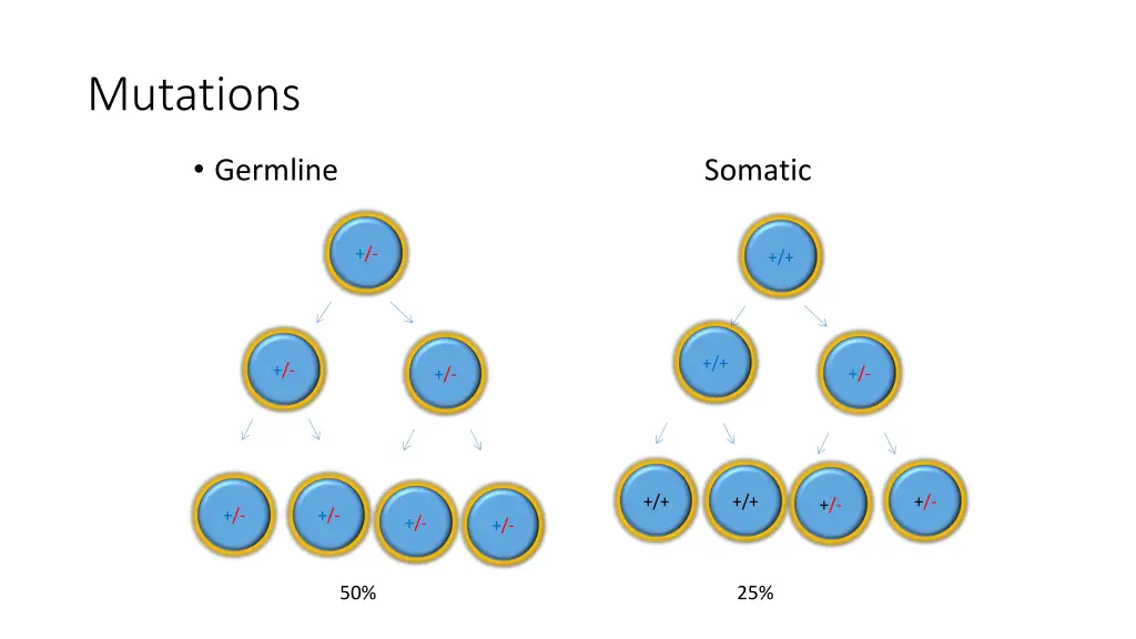 mutations