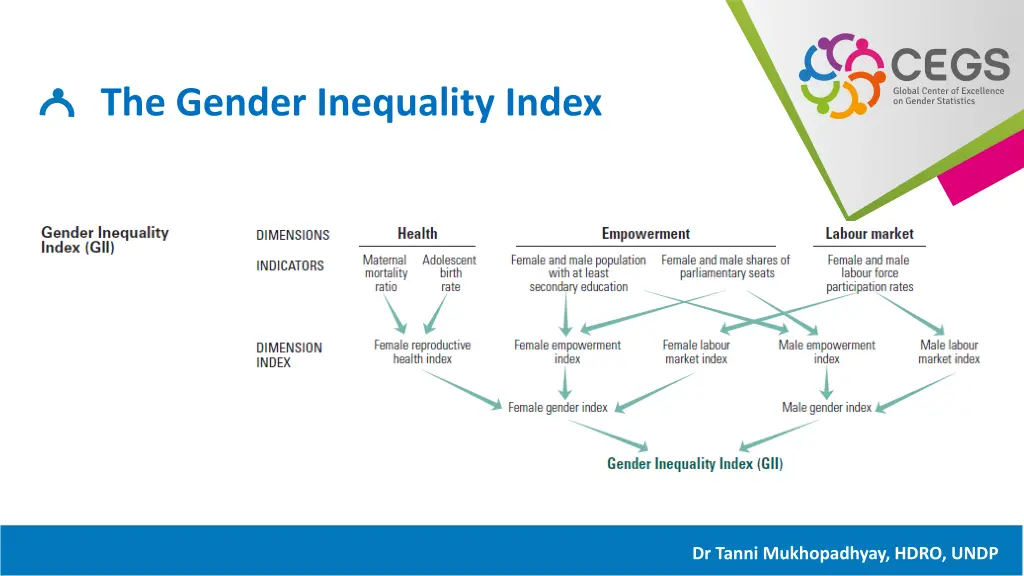 the gender inequality index