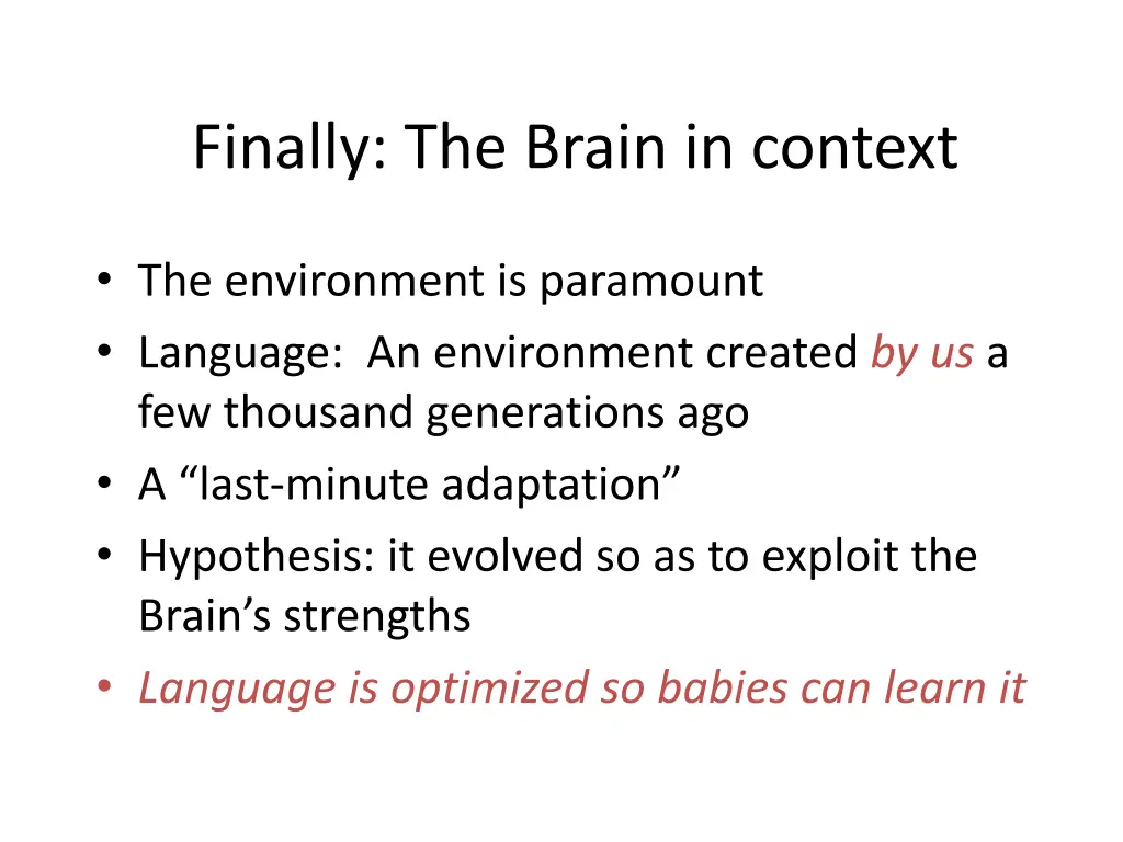 finally the brain in context