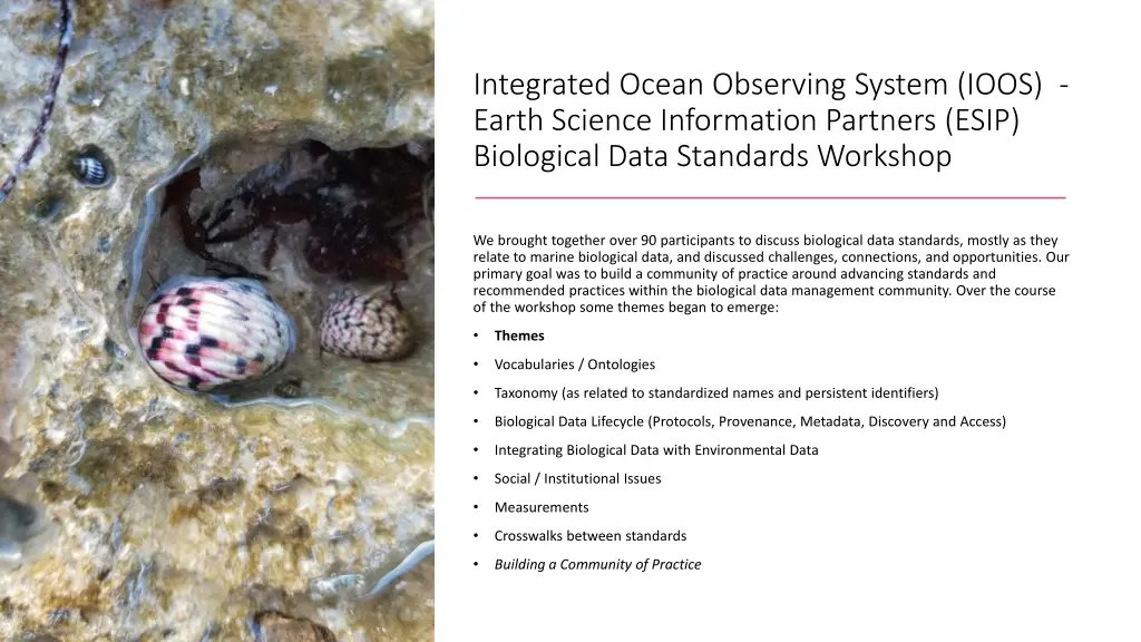 integrated ocean observing system ioos earth