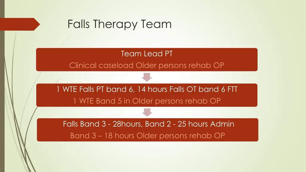 falls therapy team