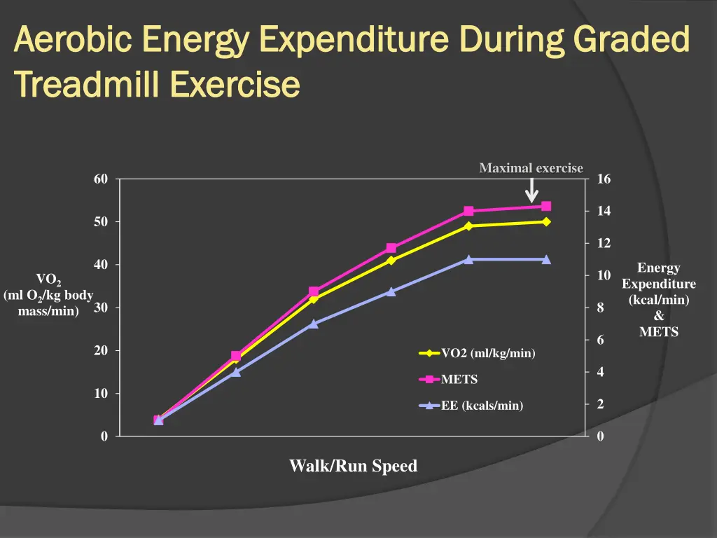 aerobic energy expenditure during graded aerobic