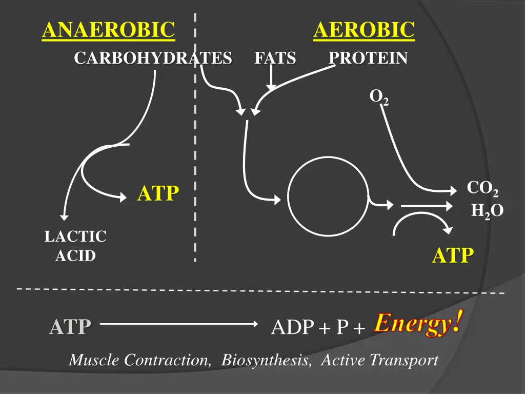 anaerobic carbohydrates