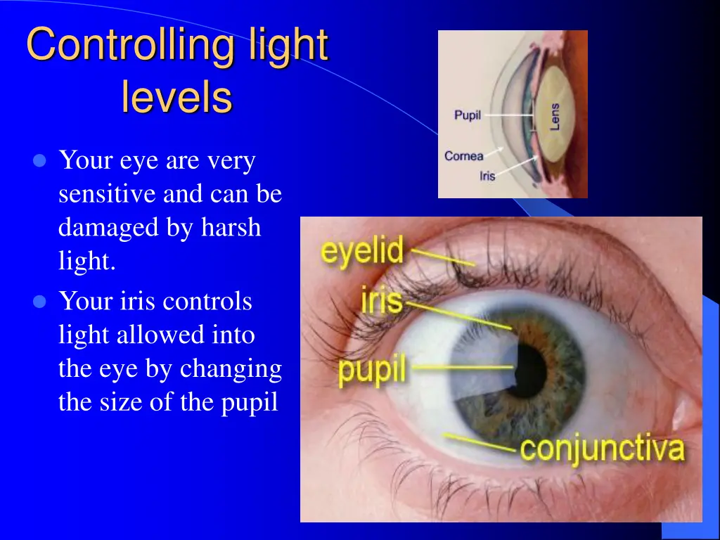 controlling light levels