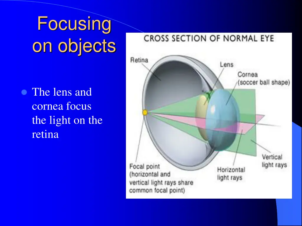 focusing on objects