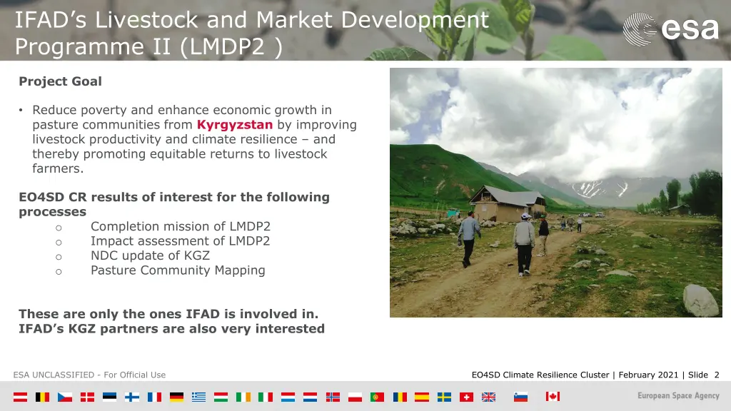 ifad s livestock and market development programme