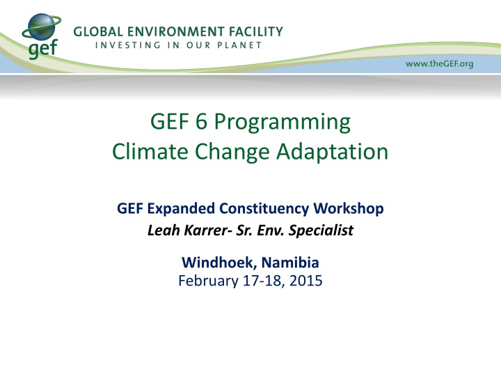 gef 6 programming climate change adaptation