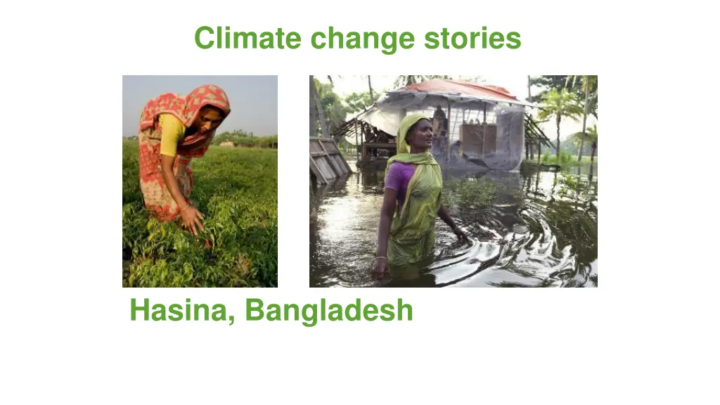 climate change stories 2