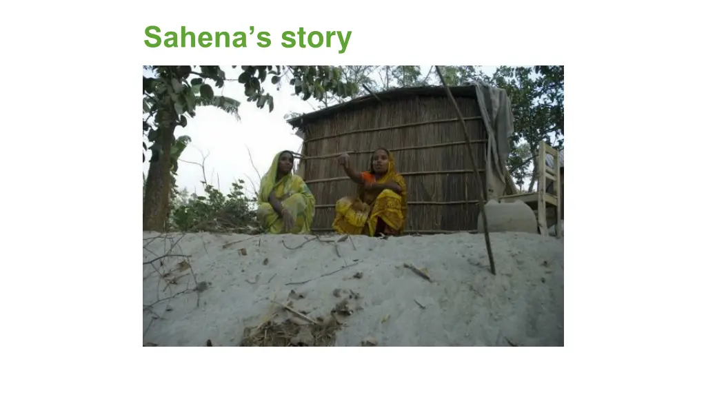 sahena s story 5