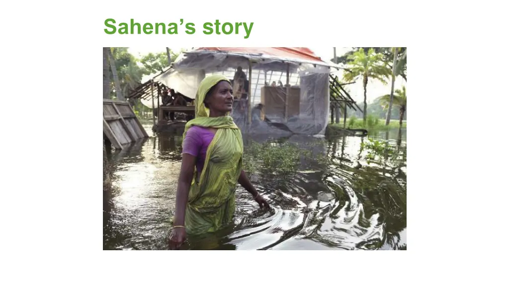 sahena s story 2