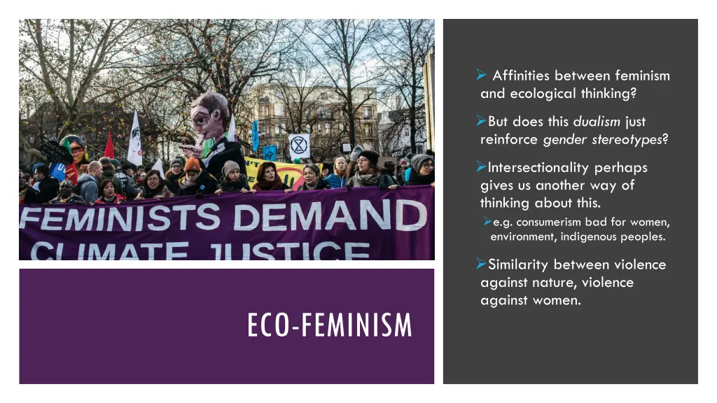 affinities between feminism and ecological