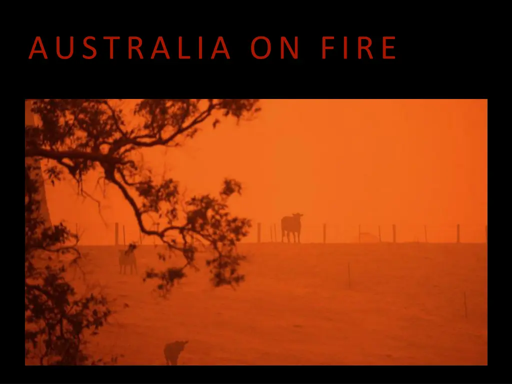 australia on fire 1