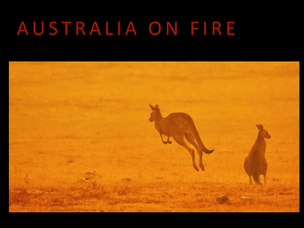 australia on fire 15