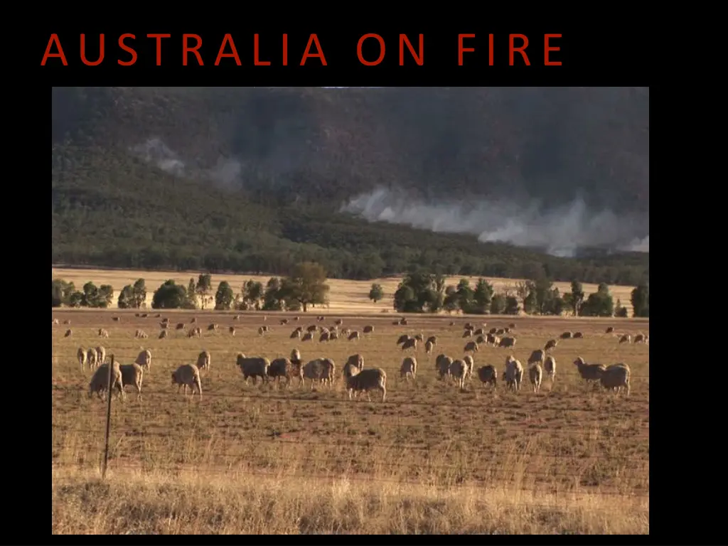 australia on fire 5