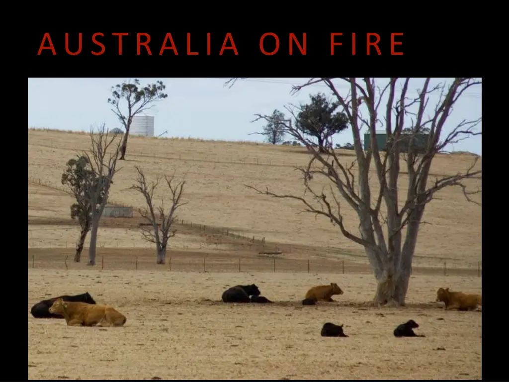 australia on fire 6