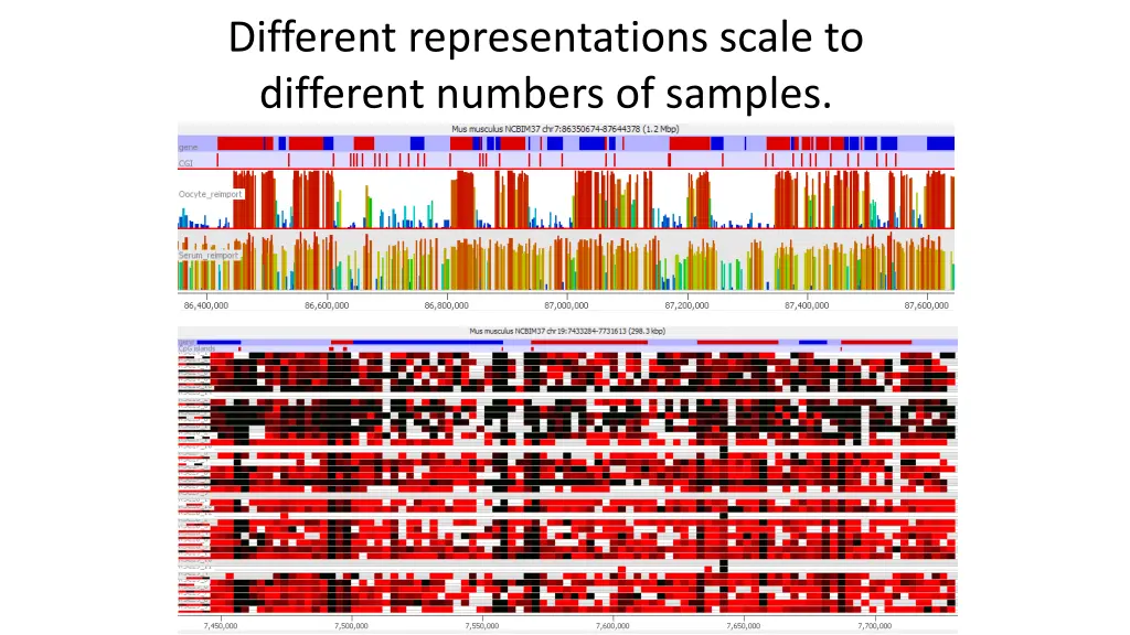 different representations scale to different