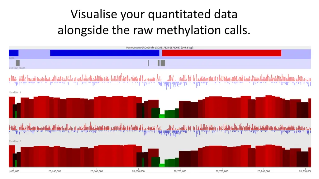 visualise your quantitated data alongside