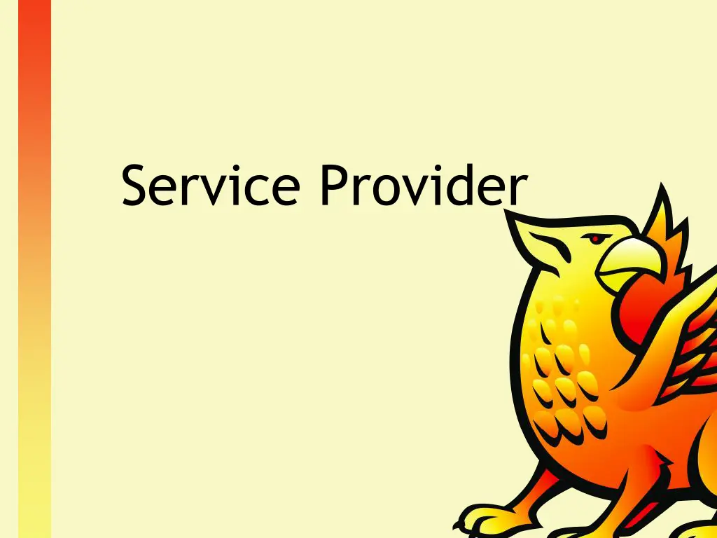 service provider