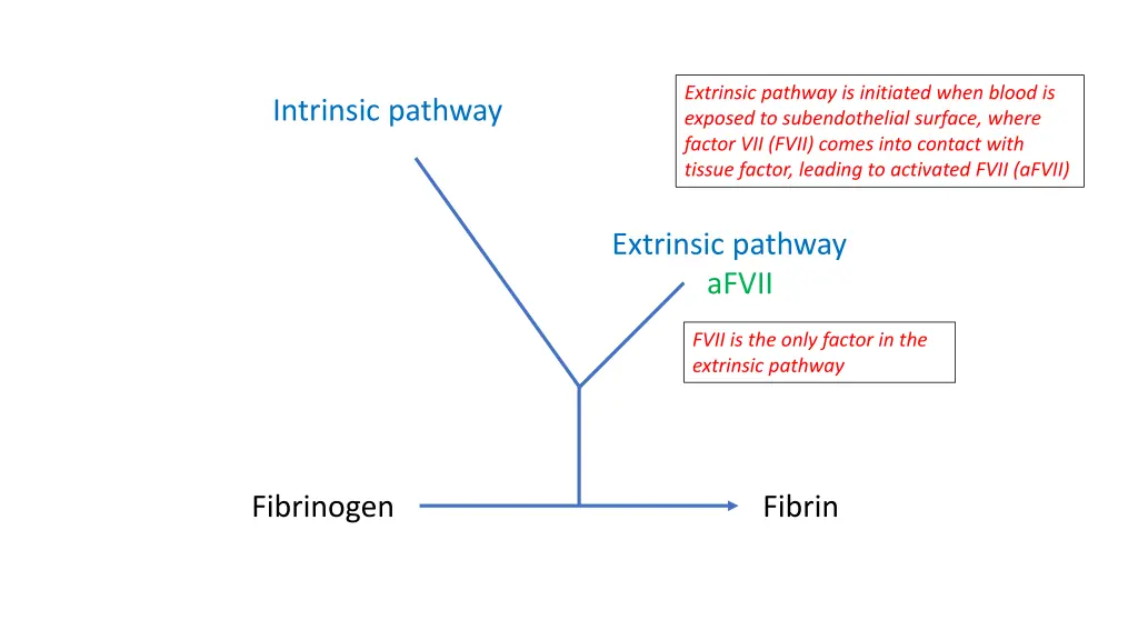 extrinsic pathway is initiated when blood