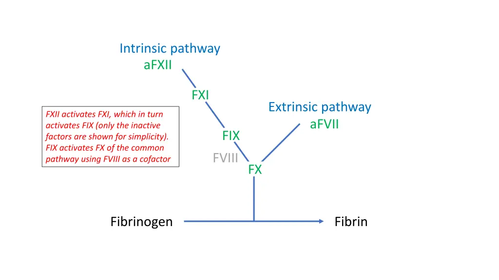 intrinsic pathway afxii 1