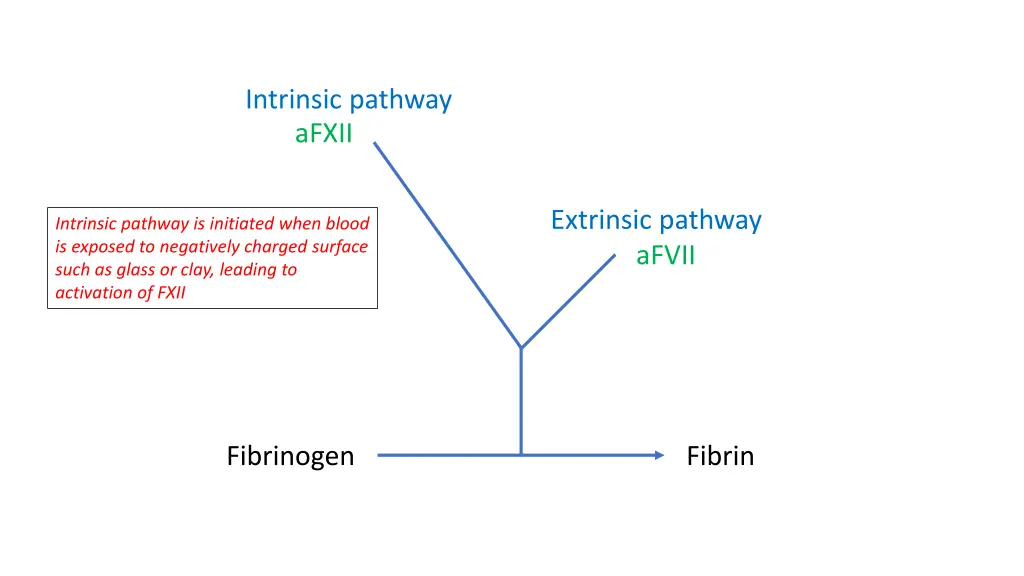 intrinsic pathway afxii