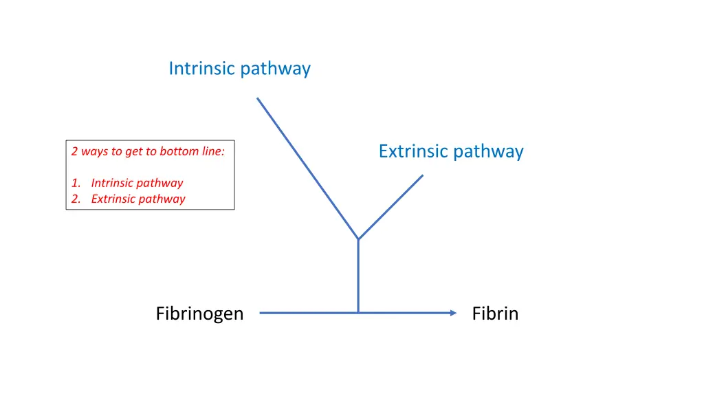 intrinsic pathway