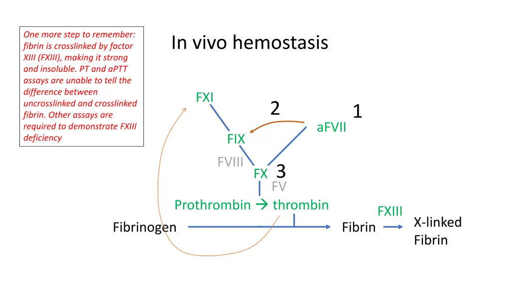 one more step to remember fibrin is crosslinked