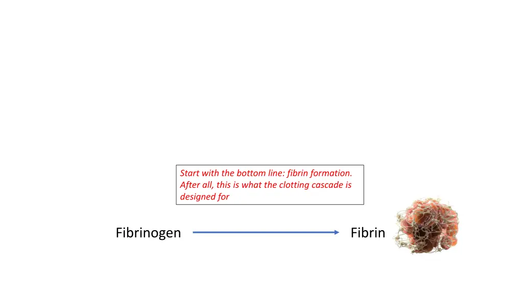 start with the bottom line fibrin formation after