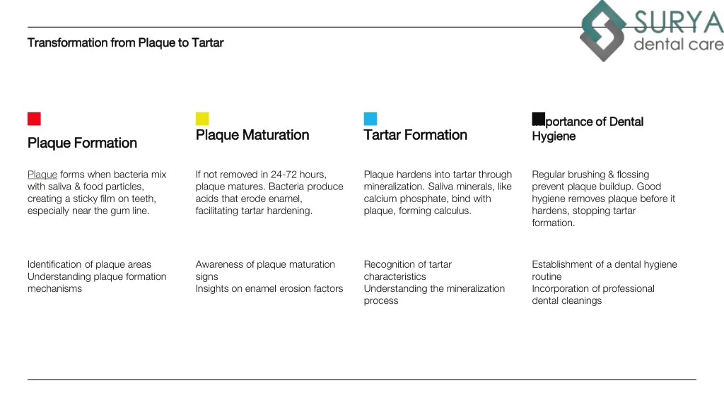 transformation from plaque to tartar