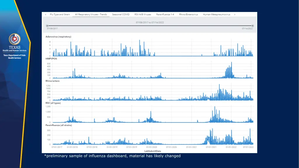 preliminary sample of influenza dashboard 2