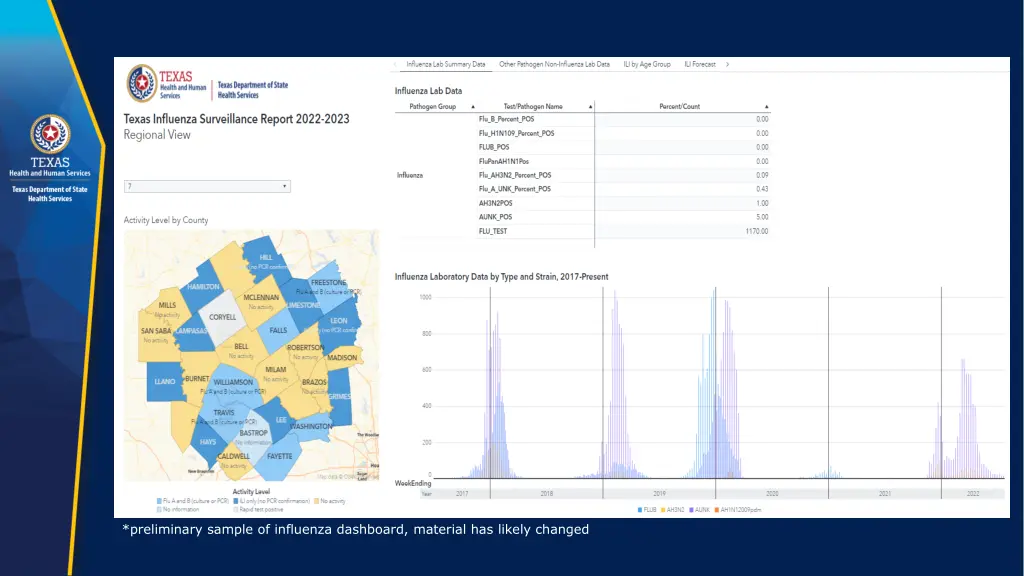 preliminary sample of influenza dashboard 4