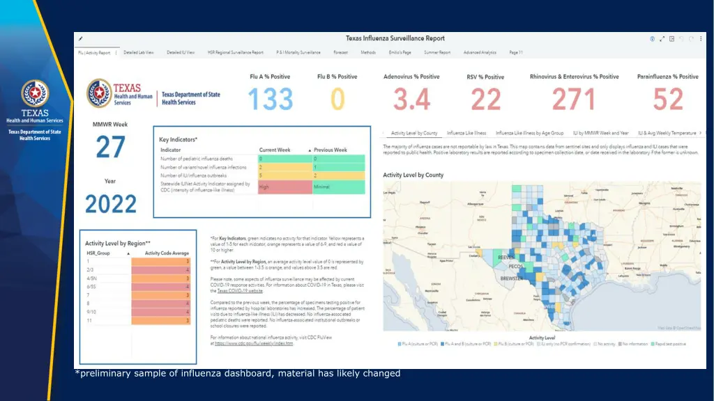 preliminary sample of influenza dashboard