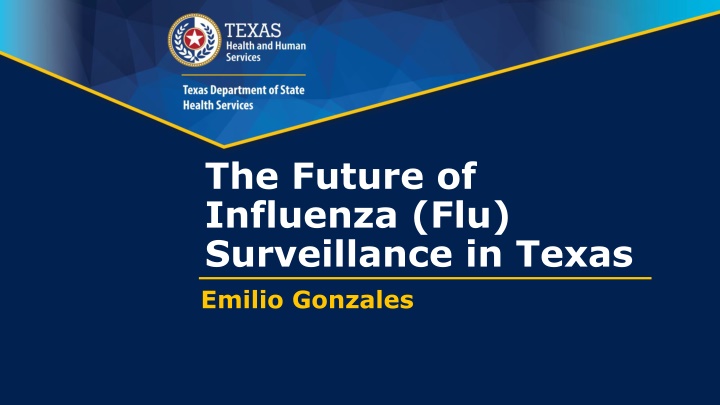 the future of influenza flu surveillance in texas