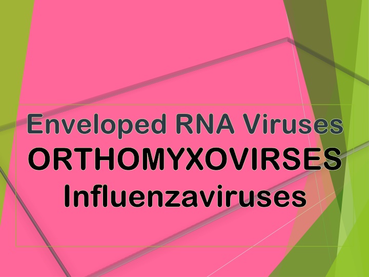 enveloped rna viruses enveloped rna viruses