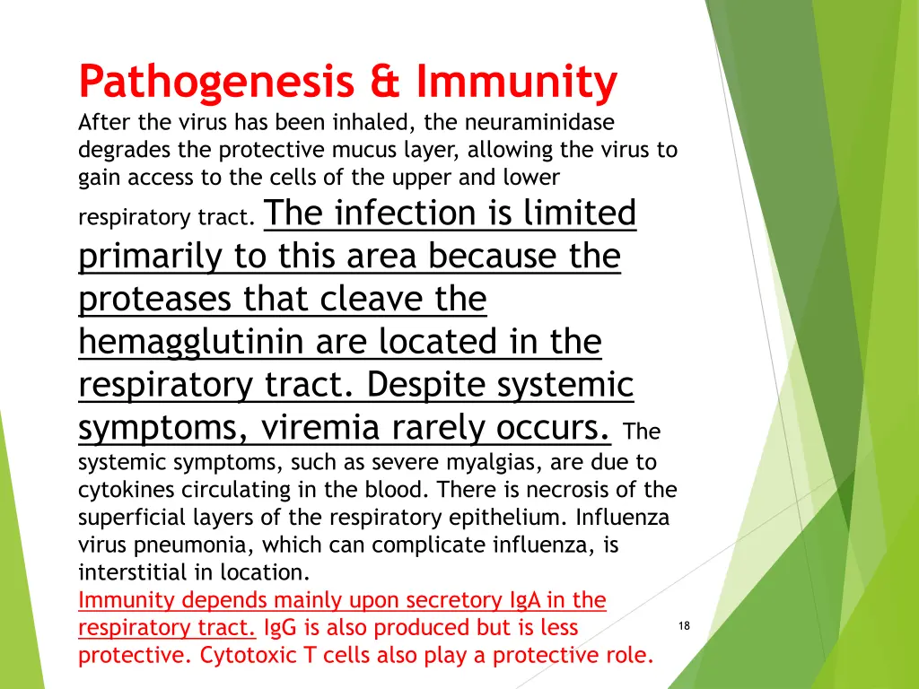 pathogenesis immunity after the virus has been