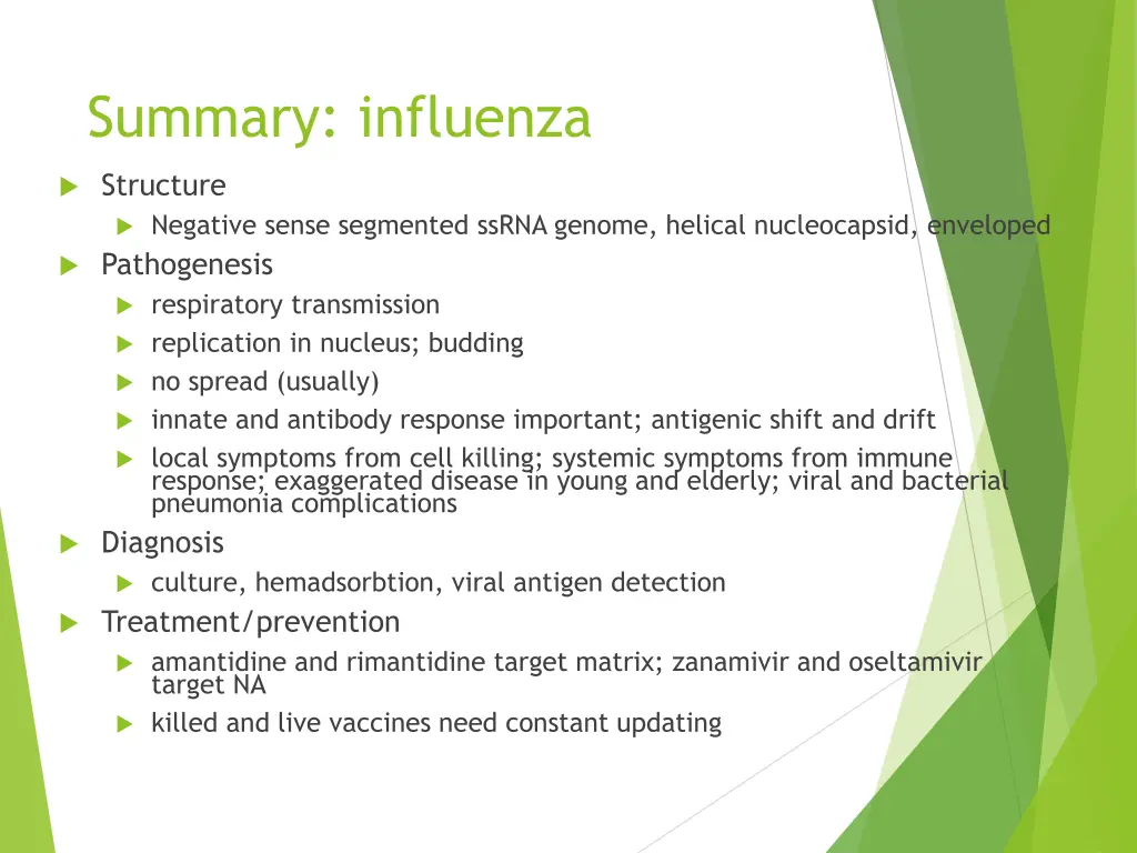 summary influenza