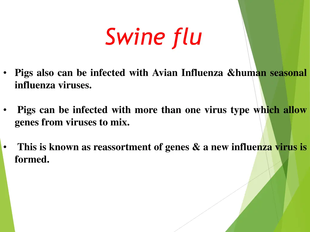 swine flu 1