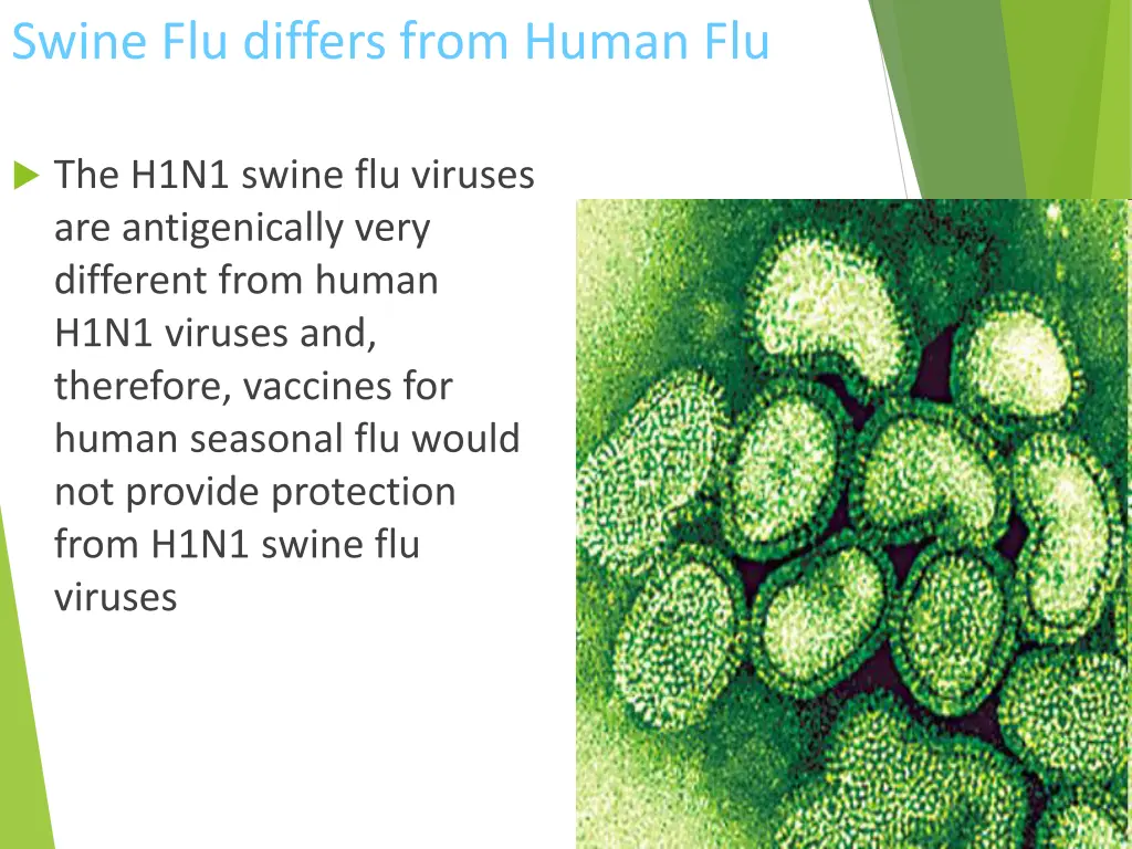 swine flu differs from human flu