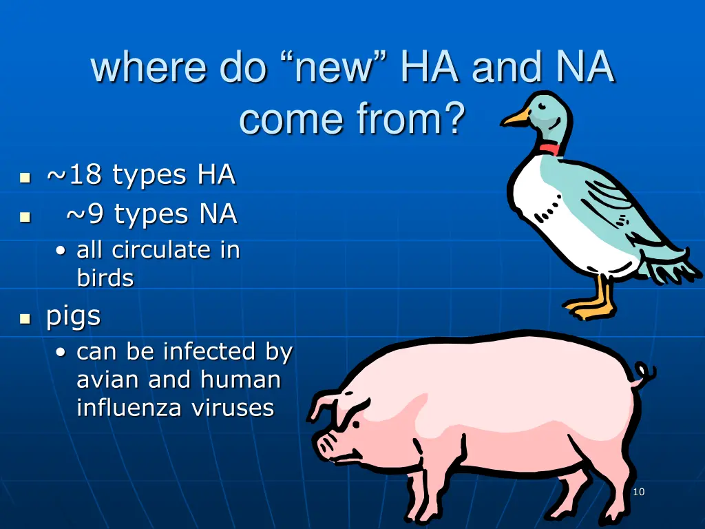 where do new ha and na come from