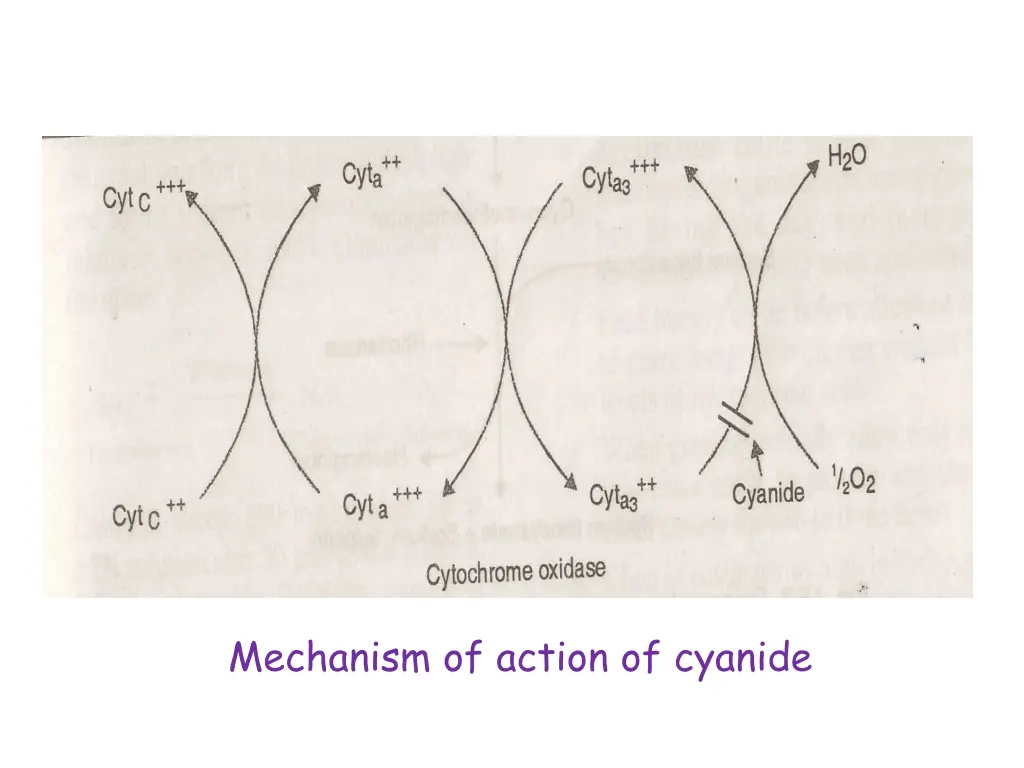 mechanism of action of cyanide