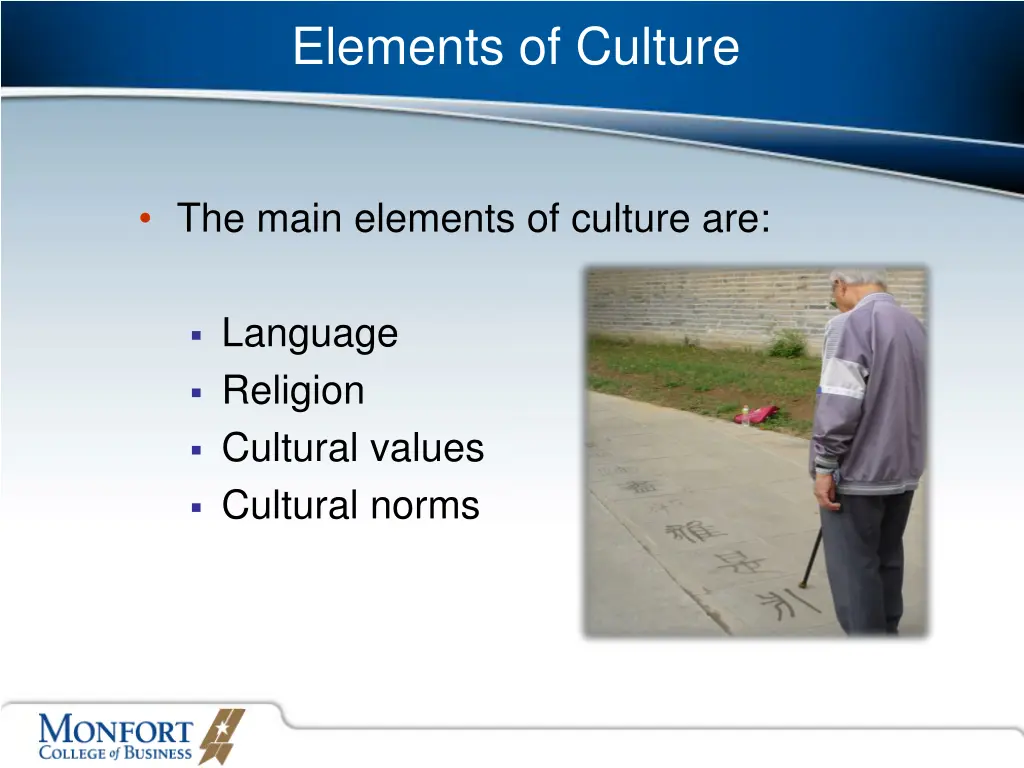 elements of culture