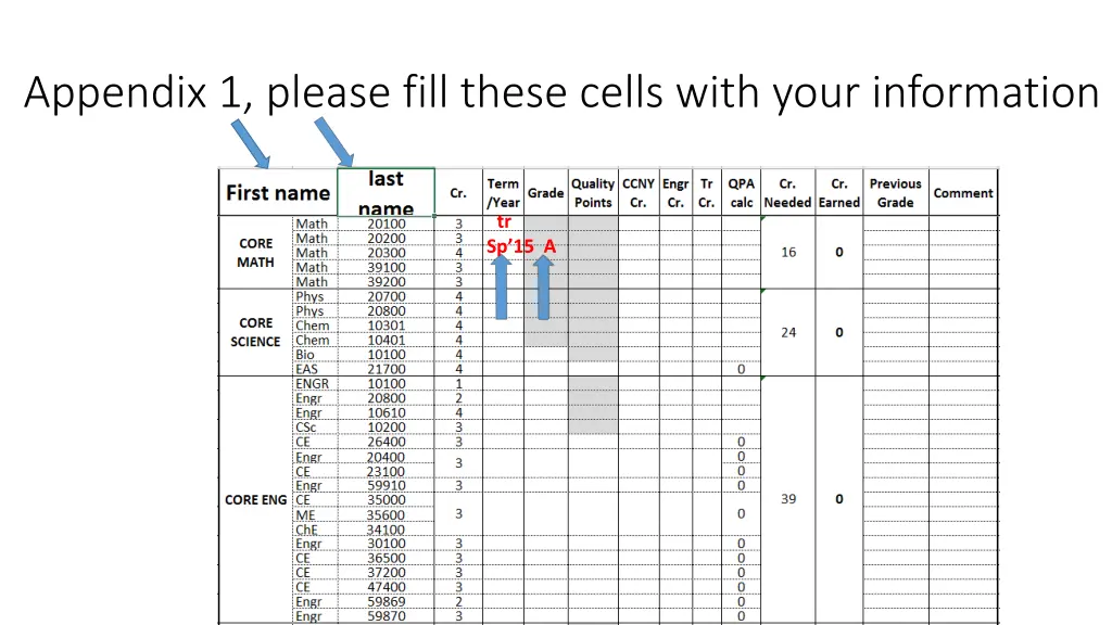 appendix 1 please fill these cells with your