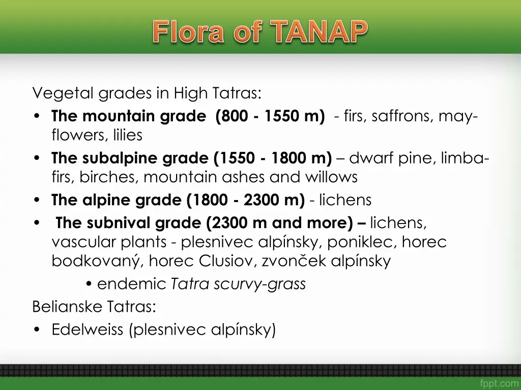 vegetal grades in high tatras the mountain grade