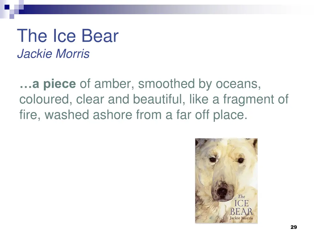 the ice bear jackie morris