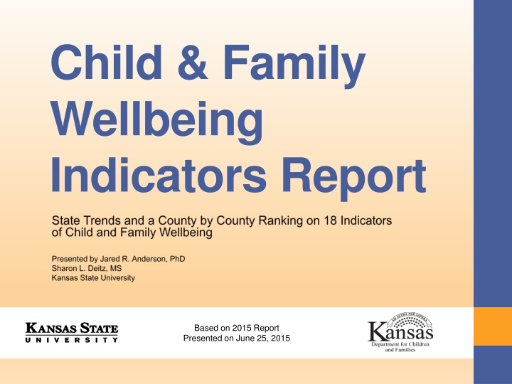 child family wellbeing indicators report