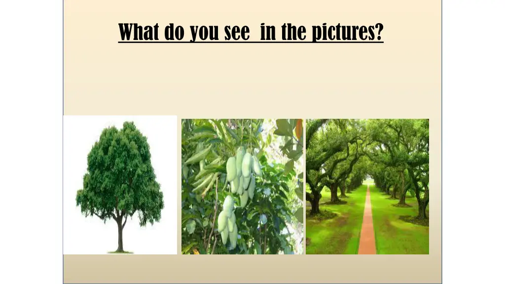 what do you see in the pictures