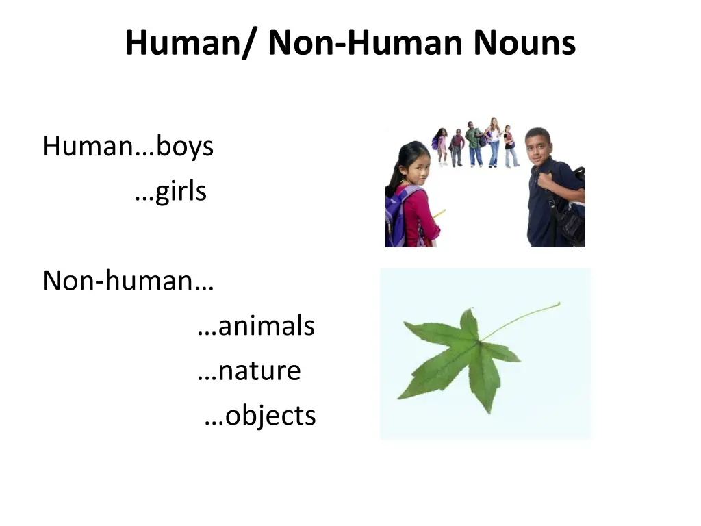 human non human nouns