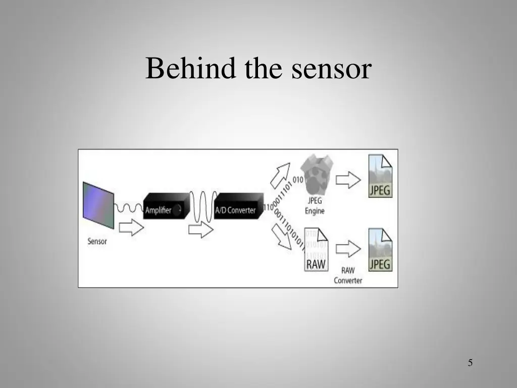 behind the sensor